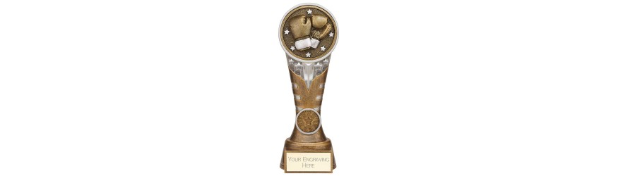 IKON BOXING RESIN TROPHY WITH OPTIONAL CUSTOM CENTRE - 5 SIZES - 12.5CM - 22.5CM